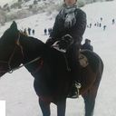 ���������� �������, ���� ������� Zorro, 37 ���, ������������ ��� ������, ����� � ���������, c�������� ���������, ���������