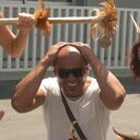 ���������� �����-���������, ���� ������� Fanki, 48 ���, ������������ ��� ������, ����� � ���������, c�������� ���������