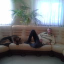 ���������� ����������, ���� ������� ����, 47 ���, ������������ ��� ������, ����� � ���������, c�������� ���������, ���������