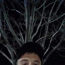 ���������� �����, ���� ������� ���������, 41 ���, ������������ 