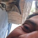 ���������� �������, ���� ������� ������� ����, 43 ����, ������������ ��� ������