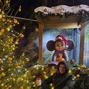 ���������� �����������, ���� ������� ����, 40 ���, ������������ ��� ������, ����� � ���������, c�������� ���������, ���������