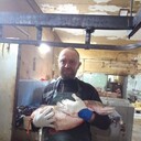 ���������� ��������, ���� ������� �����, 41 ���, ������������ ��� ������, ����� � ���������