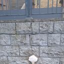 ���������� �����������, ���� ������� Nuridinjon, 34 ����, ������������ ��� ������, ����� � ���������