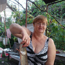  ,   , 66 ,     , c 