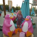  ,   , 37 ,   ,   , c 