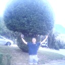 ���������� ����, ���� ������� �����, 38 ���, ������������ ��� ������, ����� � ���������, c�������� ���������