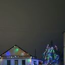 ���������� ���������, ���� ������� �������, 36 ���, ������������ ��� ������, ����� � ���������