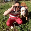  ,   , 45 ,   ,   , c 