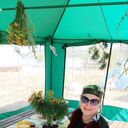 ���������� �����, ���� ������� �������, 46 ���, ������������ ��� ������, ����� � ���������