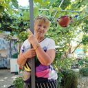 ���������� ���������, ���� ������� �������, 71 ���, ������������ ��� c�������� ���������