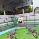 ���������� ���������, ���� ������� �������, 34 ����, ������������ ��� ������, ����� � ���������, c�������� ���������, ���������