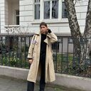 ���������� �����-���������, ���� ������� ���������, 29 ���, ������������ ��� ���������