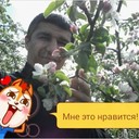 ���������� ������, ���� ������� �����, 43 ����, ������������ ��� ������, ����� � ���������, c�������� ���������