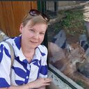 ���������� �����, ���� ������� ������, 42 ����, ������������ ��� ����� � ���������, c�������� ���������