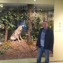 ���������� ����������, ���� ������� ������, 44 ����, ������������ ��� ������, ���������