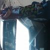  ,   Egorchik, 38 ,     , c 