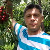  ,   Serj, 50 ,   