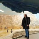 ���������� ������, ���� ������� ������, 37 ���, ������������ ��� c�������� ���������