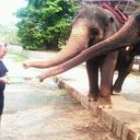 ���������� �����, ���� ������� ���������, 42 ����, ������������ ��� ������