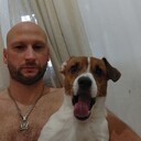 ���������� ����������, ���� ������� ����, 39 ���, ������������ ��� ������, ����� � ���������