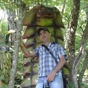  ,   , 50 ,   ,   