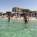 ���������� �����, ���� ������� Adulbosit, 48 ���, ������������ ��� ������, ����� � ���������, c�������� ���������, ���������