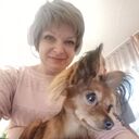 ���������� �����������, ���� ������� ����������, 52 ����, ������������ ��� ����� � ���������, c�������� ���������