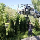 ���������� ������������, ���� ������� ������, 39 ���, ������������ ��� ������, ����� � ���������