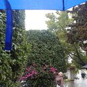 ���������� ������, ���� ������� �������, 48 ���, ������������ ��� ������, ����� � ���������, c�������� ���������