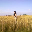  ,   , 53 ,     , c 