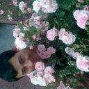  ,   Dima, 41 ,   ,   , c 