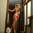 ���������� ������, ���� ������� ����, 47 ���, ������������ ��� ������