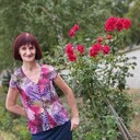  ,   , 54 ,     , 