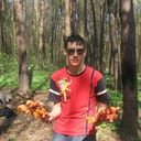 ���������� �����, ���� ������� ������, 31 ���, ������������ ��� ������, ����� � ���������, c�������� ���������