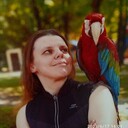 ���������� �����, ���� ������� �������, 40 ���, ������������ ��� ����� � ���������, ���������