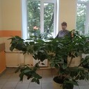 ���������� ������, ���� ������� ���������, 53 ����, ������������ ��� c�������� ���������