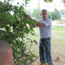 ,   , 44 ,   ,   , c , 