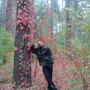 ���������� ������, ���� ������� ��������, 37 ���, ������������ ��� ������