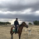 ���������� �������, ���� ������� Didi, 37 ���, ������������ ��� ������, ����� � ���������