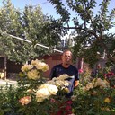 ���������� ������ ��������, ���� ������� Aidos, 52 ����, ������������ ��� ������, ����� � ���������, c�������� ���������