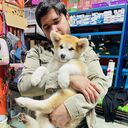 ���������� �������, ���� ������� ����, 31 ���, ������������ ��� ������, ����� � ���������