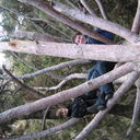  ,   , 39 ,   ,   , c 