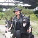 ���������� �����������, ���� ������� �����, 43 ����, ������������ ��� c�������� ���������