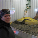 ���������� �������, ���� ������� �������, 48 ���, ������������ 