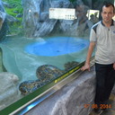 ,   , 59 ,   