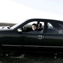 ���������� ���������, ���� ������� ���������_, 29 ���, ������������ ��� ������, ����� � ���������, c�������� ���������