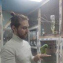 ���������� ������, ���� ������� �����, 26 ���, ������������ ��� ������, ����� � ���������, c�������� ���������, ���������