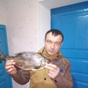  ,   Igor, 39 ,   ,   , c 