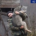 ���������� ���������, ���� ������� ���������, 48 ���, ������������ ��� ������, ����� � ���������, c�������� ���������